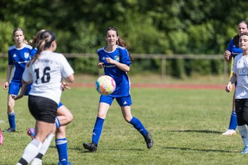 Bild 261 - wBJ VfL Pinneberg - Harksheide : Ergebnis: 2:1